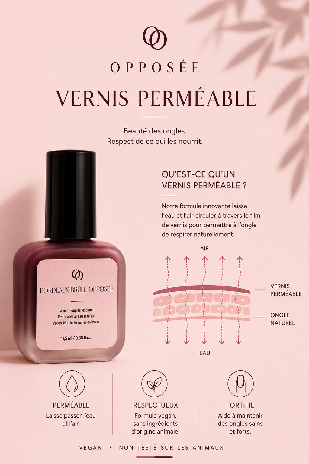 Visuel explicatif du vernis perméable Opposée laissant passer l’eau et l’air à travers le film de vernis
